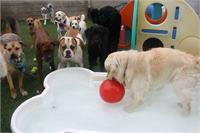 Daycare pic 1